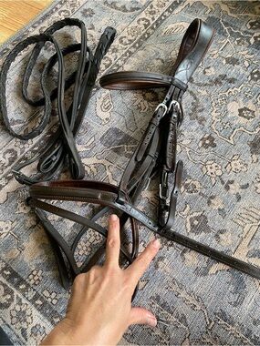 Antarès Leather Horse Bridle with Reins - Dark Brown size cob